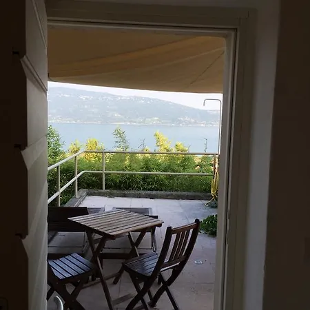 Limonaia