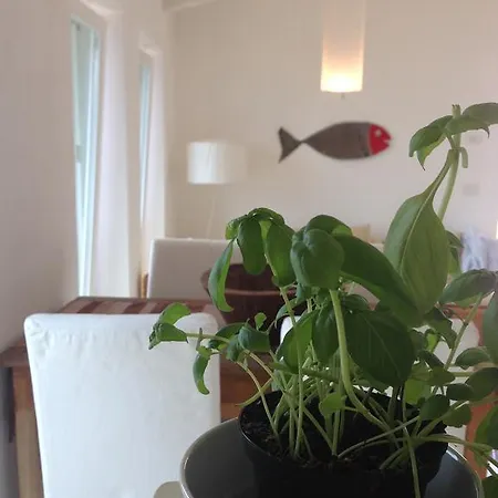 Limonaia Appartement